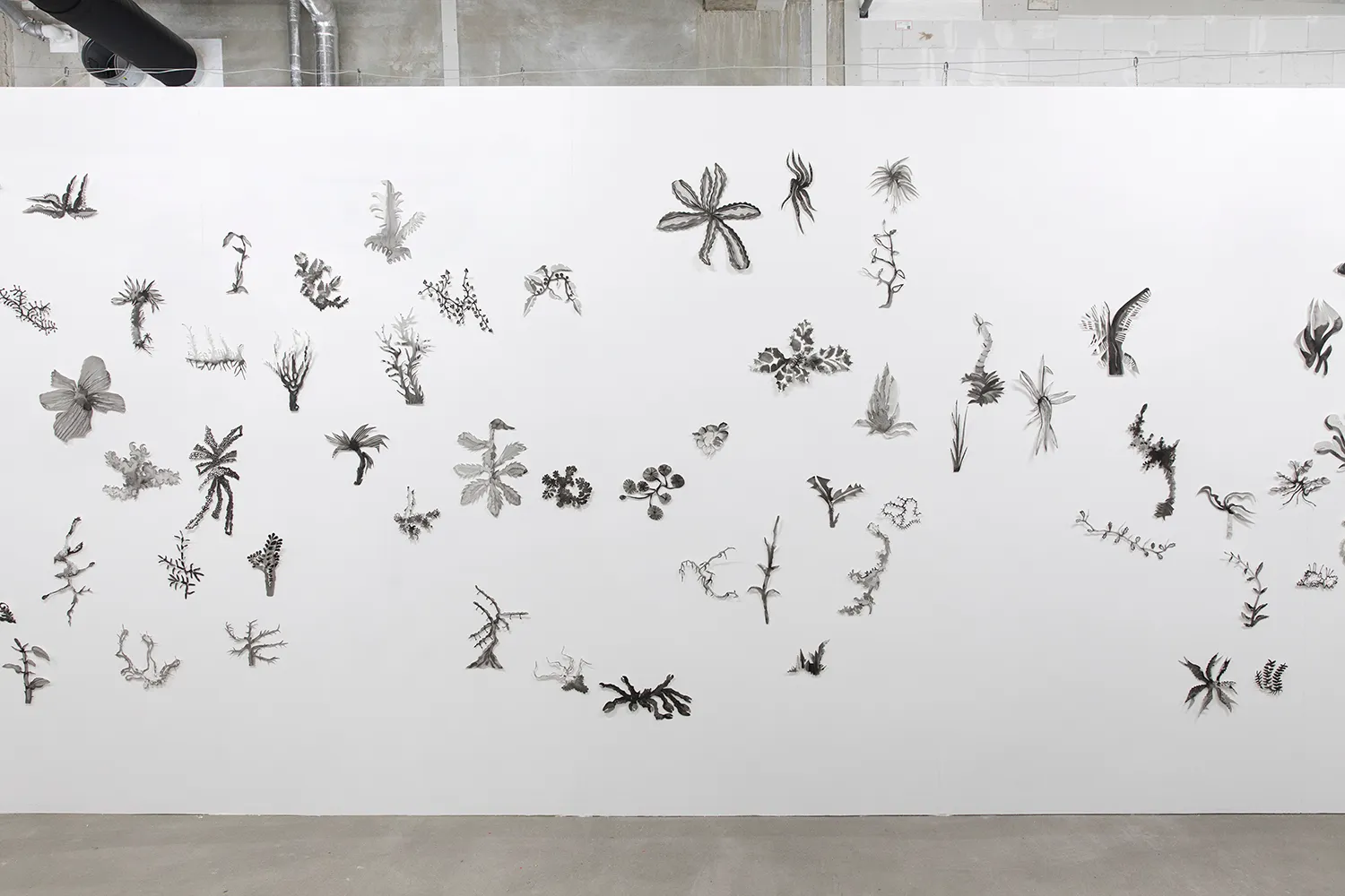Another wall with many black & white paper cut outs of plant-like forms