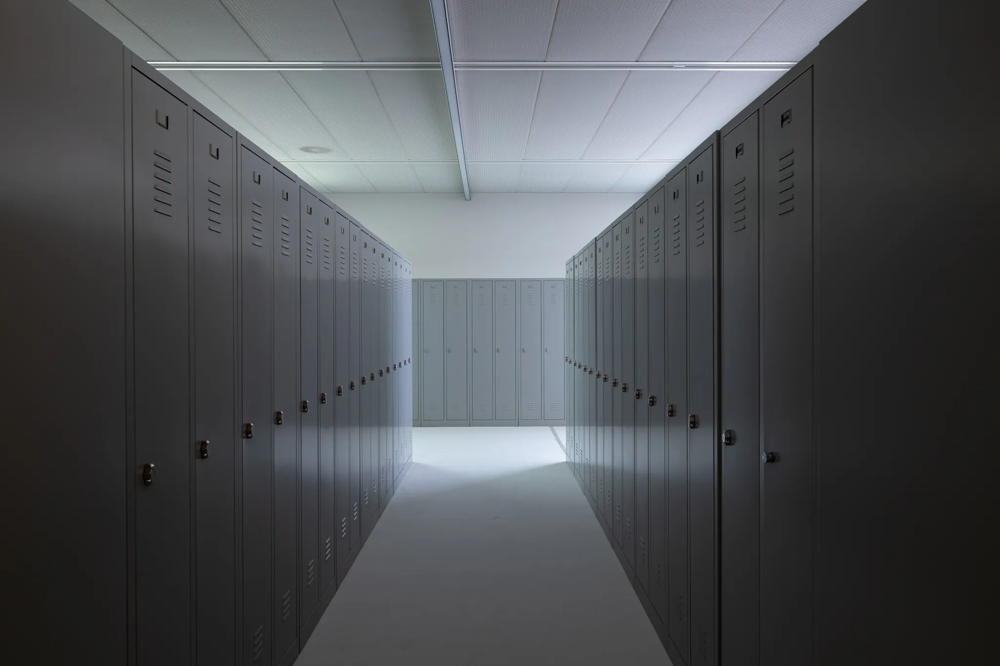Rows of grey metal school lockers in dim light