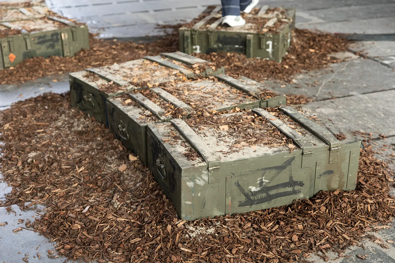 Green wooden boxes on wood chips