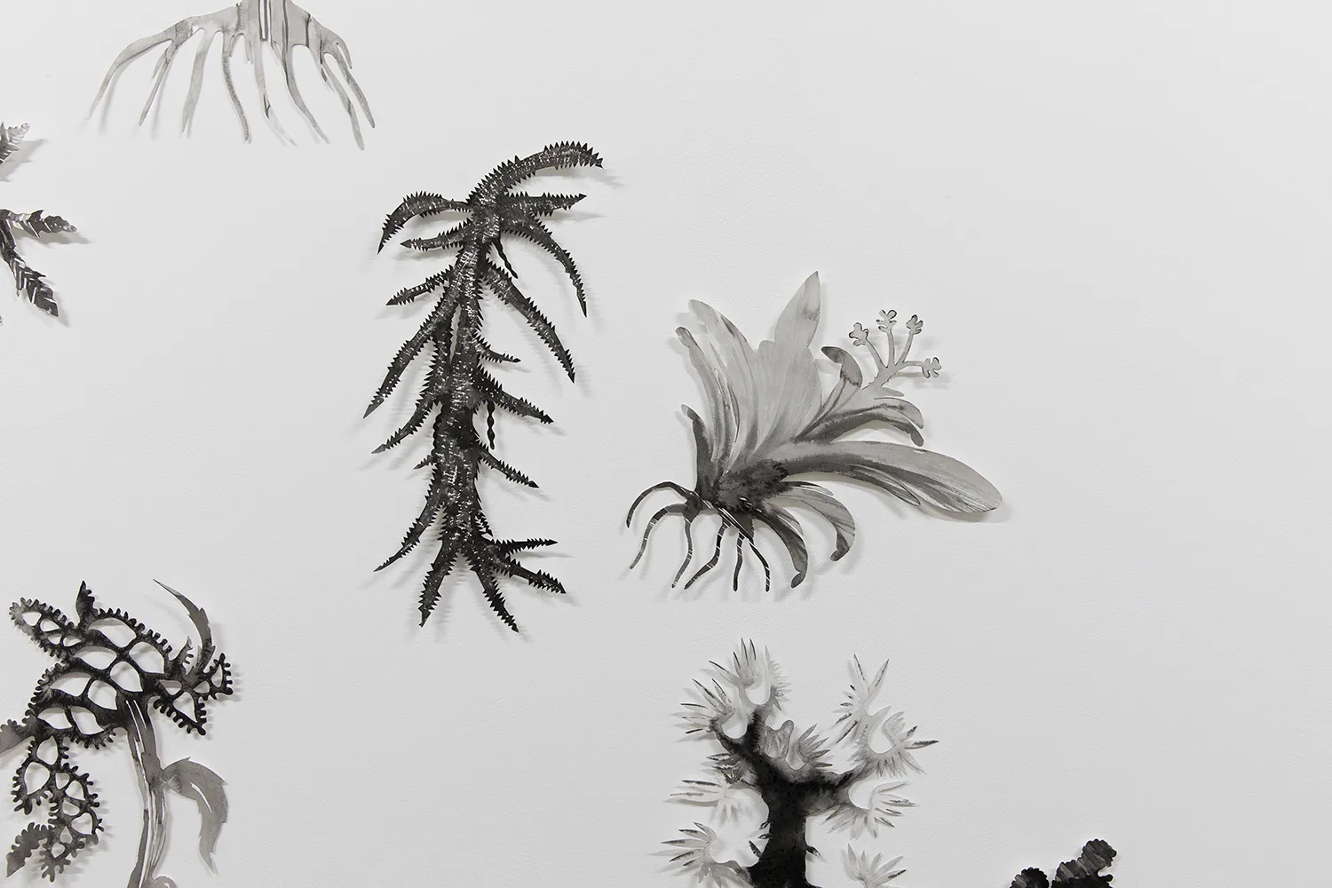 cut outs of intricate black and white plant-like shapes