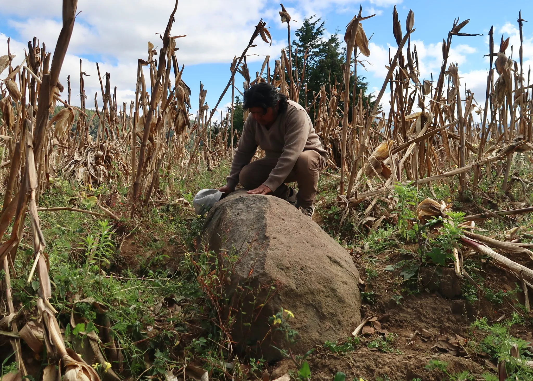 The artist in a light brown outfit getting onto a rock amidst a field of dry corn